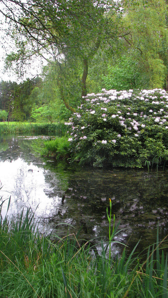 Crosswater Farm Garden Sea Breezes