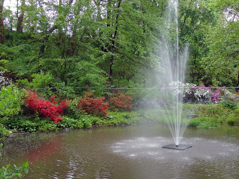 Fountain, Crozer Arboretum