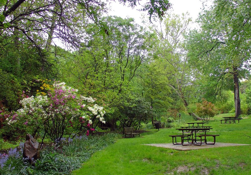 The gardens have a gardenesque