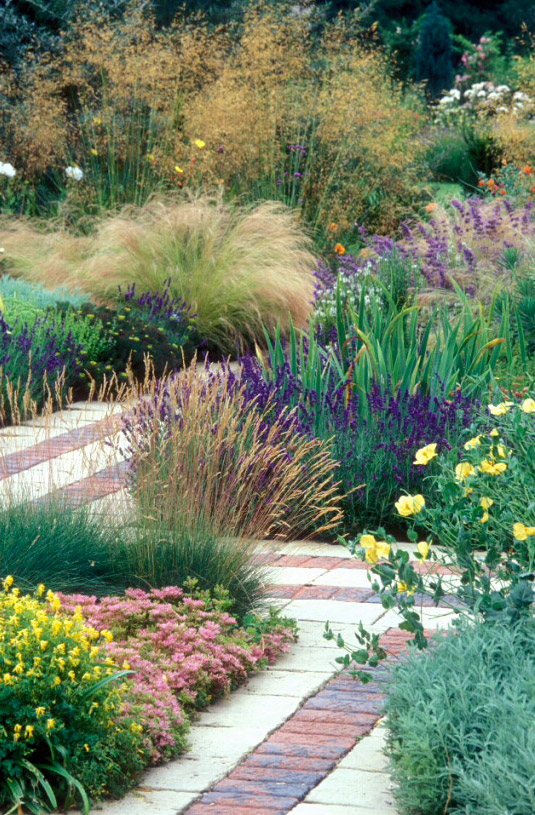 Dry Garden, Cambridge University Botanic Garden