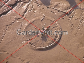 Cycle Wheel Mud