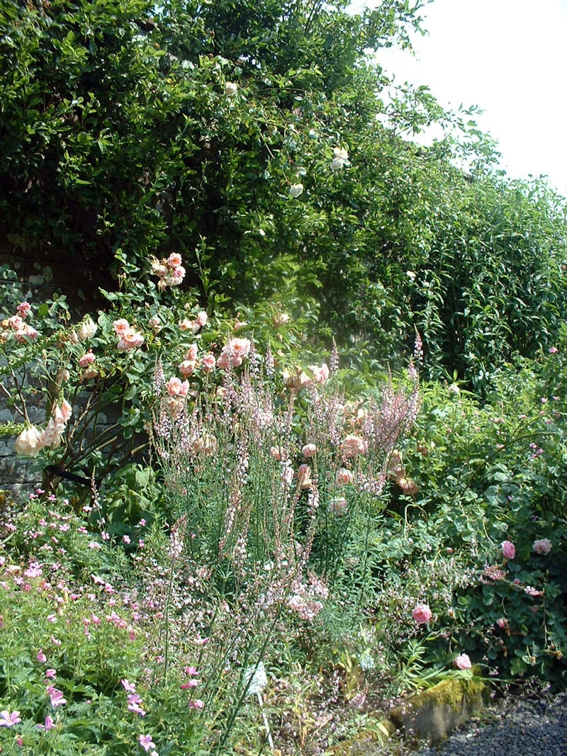 Dalemain Garden, England