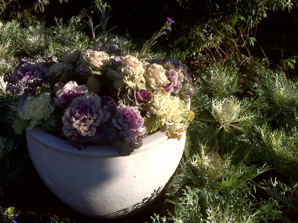Dallas Arboretum and Botanical Garden