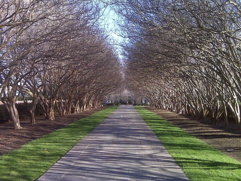 Dallas Arboretum and Botanical Garden, USA