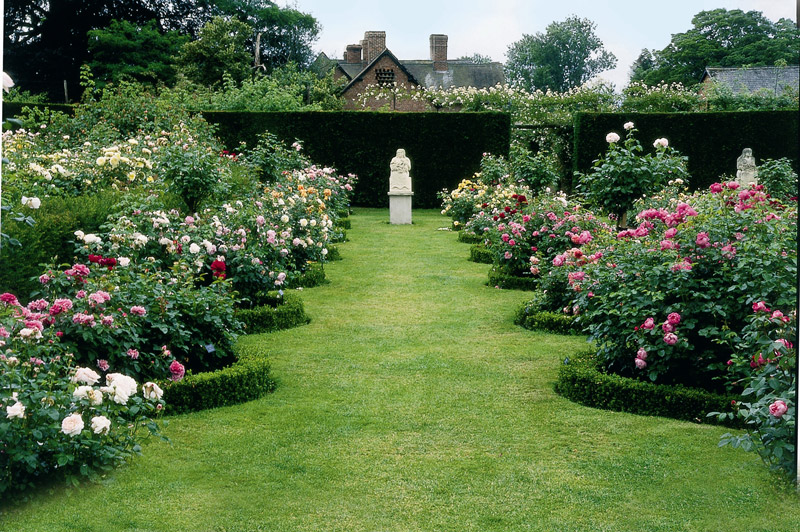 David Austin Rose Gardens, Albrighton