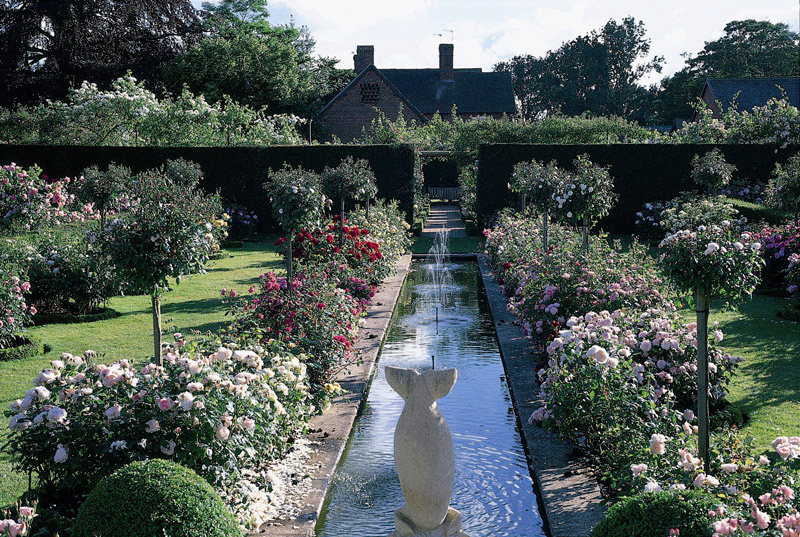 David Austin Rose Gardens, Shropshire