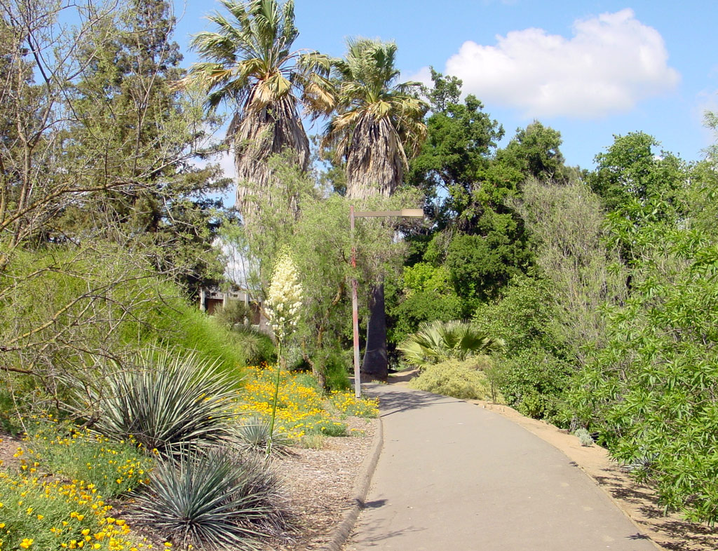 Davis Arboretum, CA