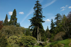 Dawyck botanic garden