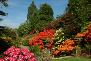 Dawyckbotanicgardens