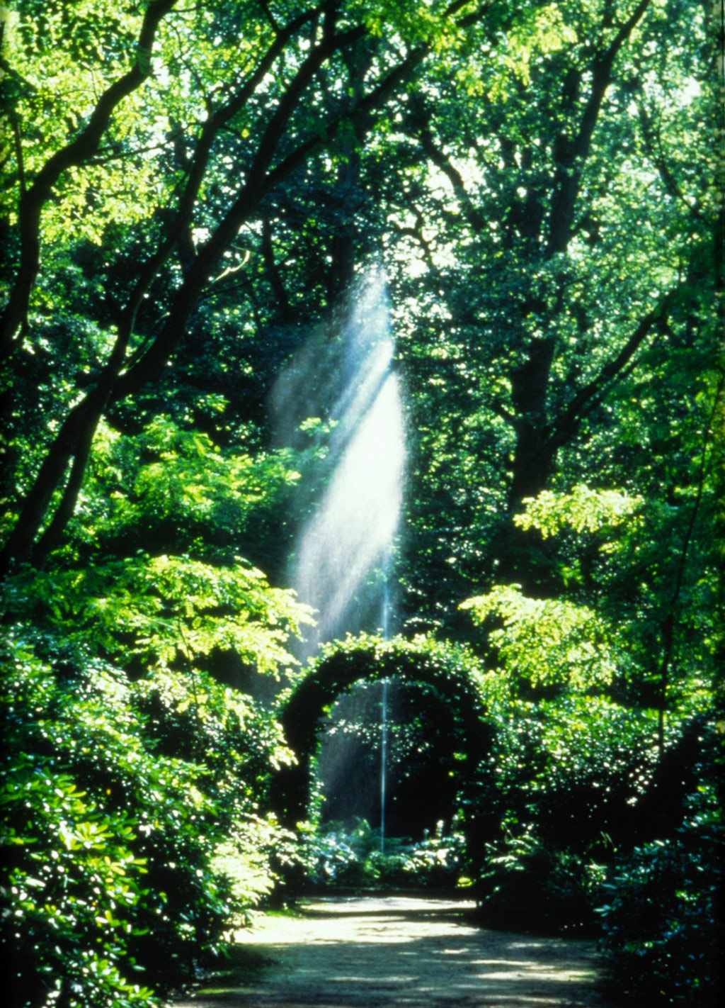 De Wiersse Garden, Holland