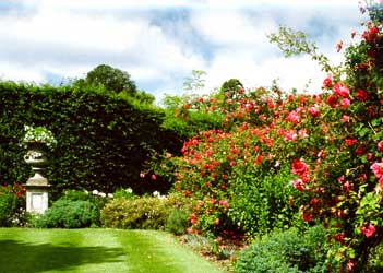 Deene park garden1