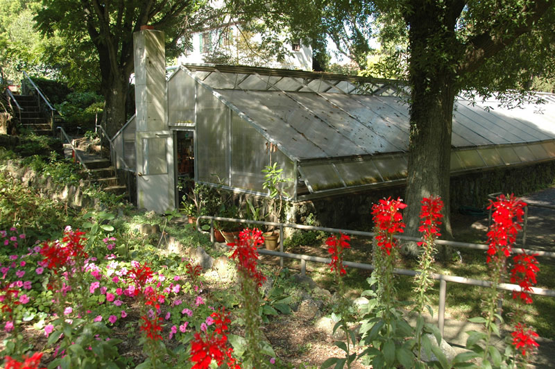 Greenhouse, Deep Cut