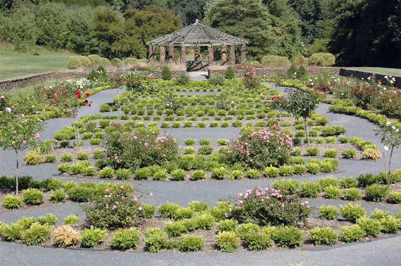 Rose Garden