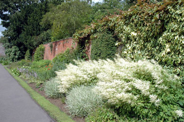 Delapre abbey garden
