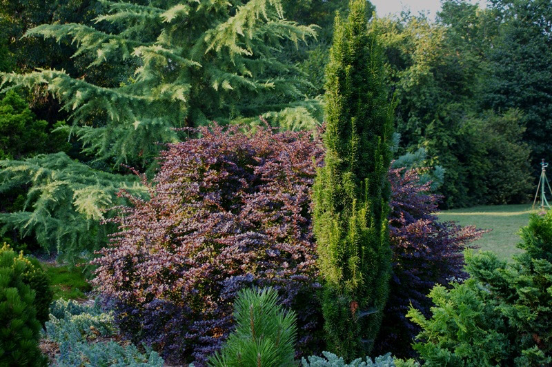 Delaware Botanic Garden
