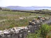 delos