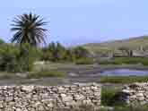 delos