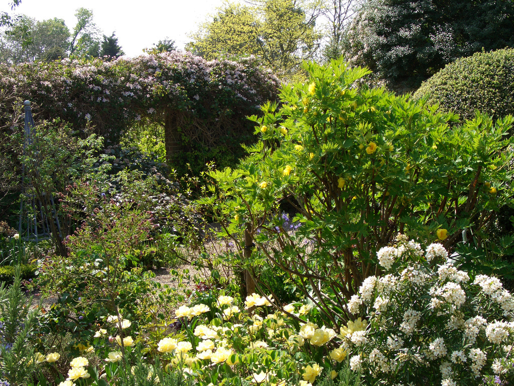 Denmans Garden denvilles_duo