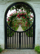 Rose Garden, Denmark