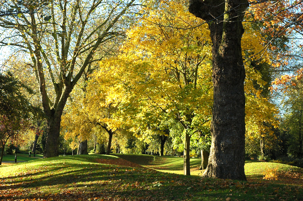 Derby Arboretum robertharris746@btin ternet.com