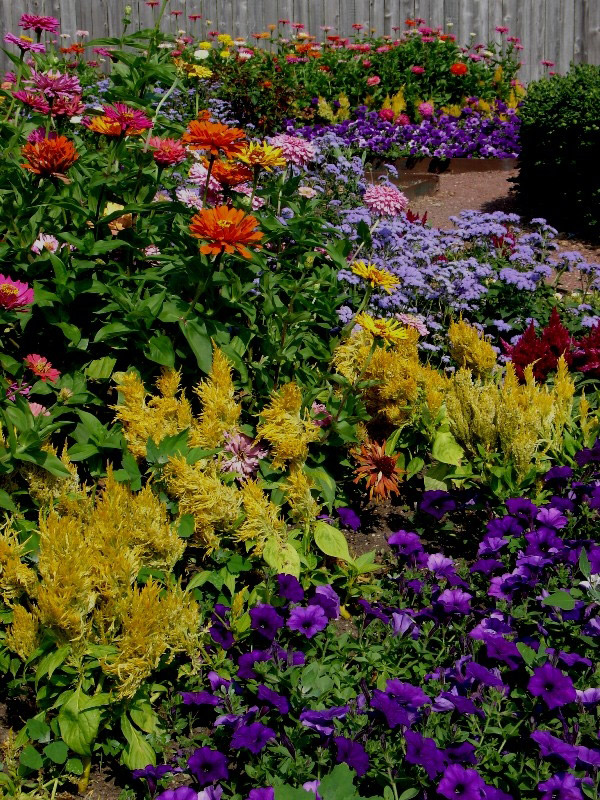 Planting at Des Moines Botanical Garden