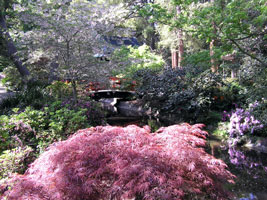 Descano japanese garden