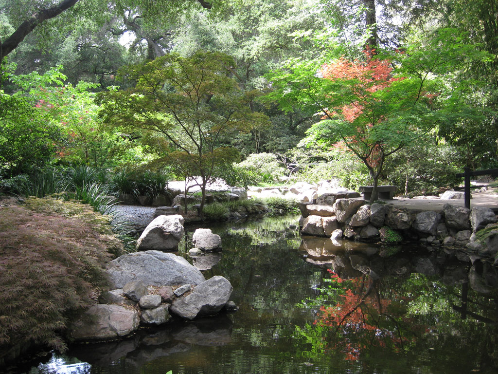 Pool in Japanese Garden