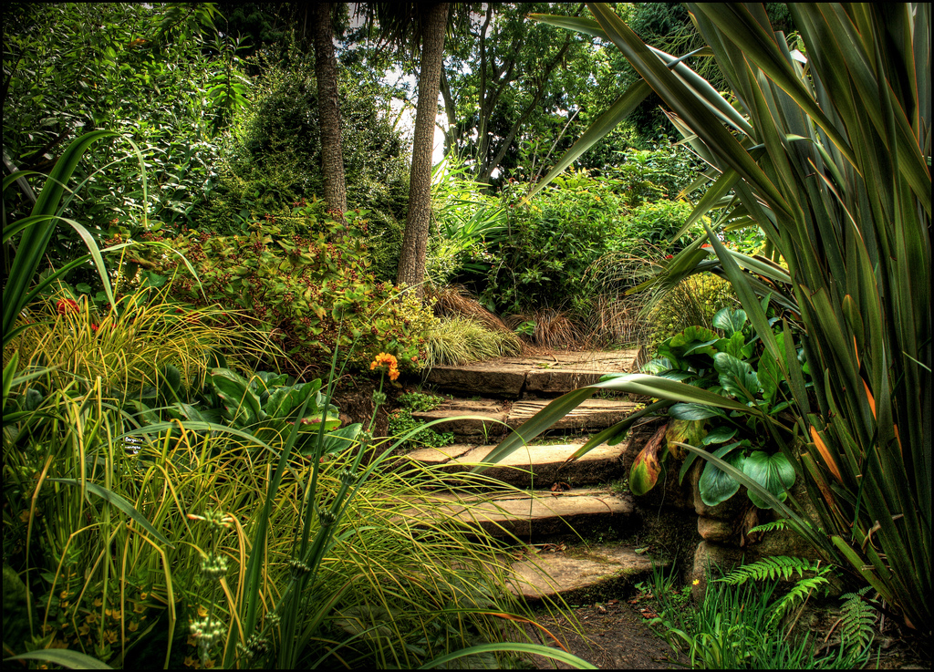 Dewstow Gardens and Grottoes Terry Winter