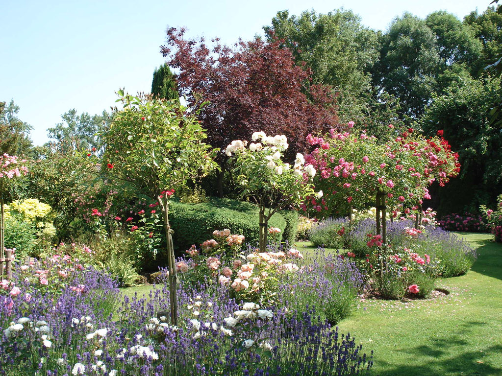 Roses, Jardin Floral du Chateau de Digeon