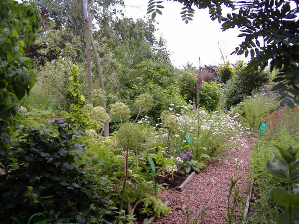 Dilston Physic Garden