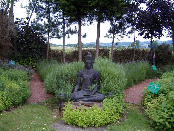 Buddha, Dilston Physic Garden