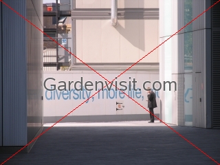 Diversity Life