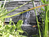 David Keegan Garden Design