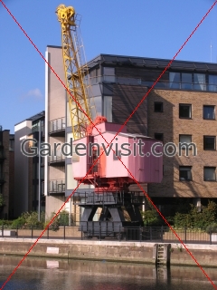 Dock Crane