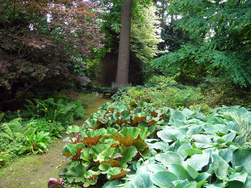 Doddington Place