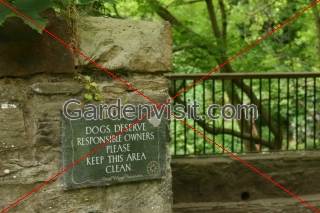 Dog Owners