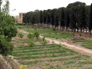 Dolatabad garden1