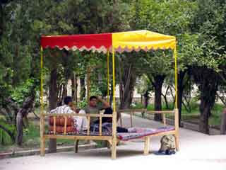 Dolatabad garden2