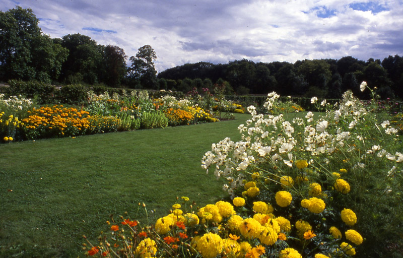 Domaine de Saint Jean de Beauregard