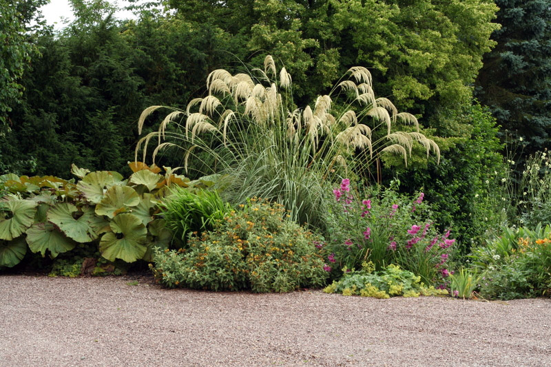 Dorothy Clive Garden, Summer 2008