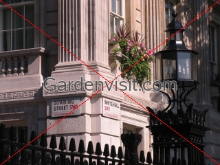 Downing Street