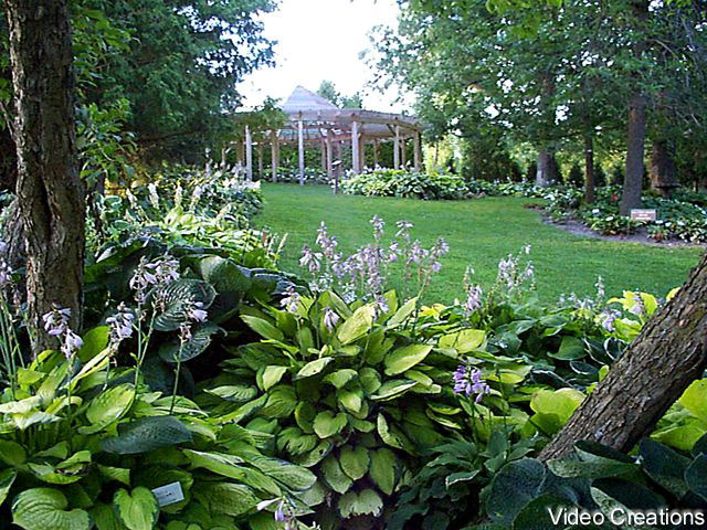 Dubuque Arboretum 