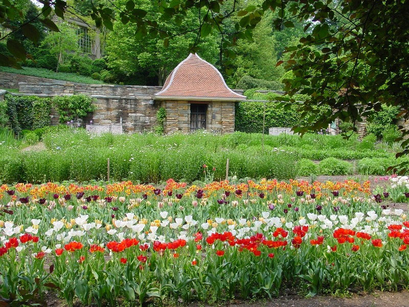 Dumbarton Oaks, DC