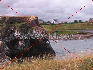 Dunbar Coast