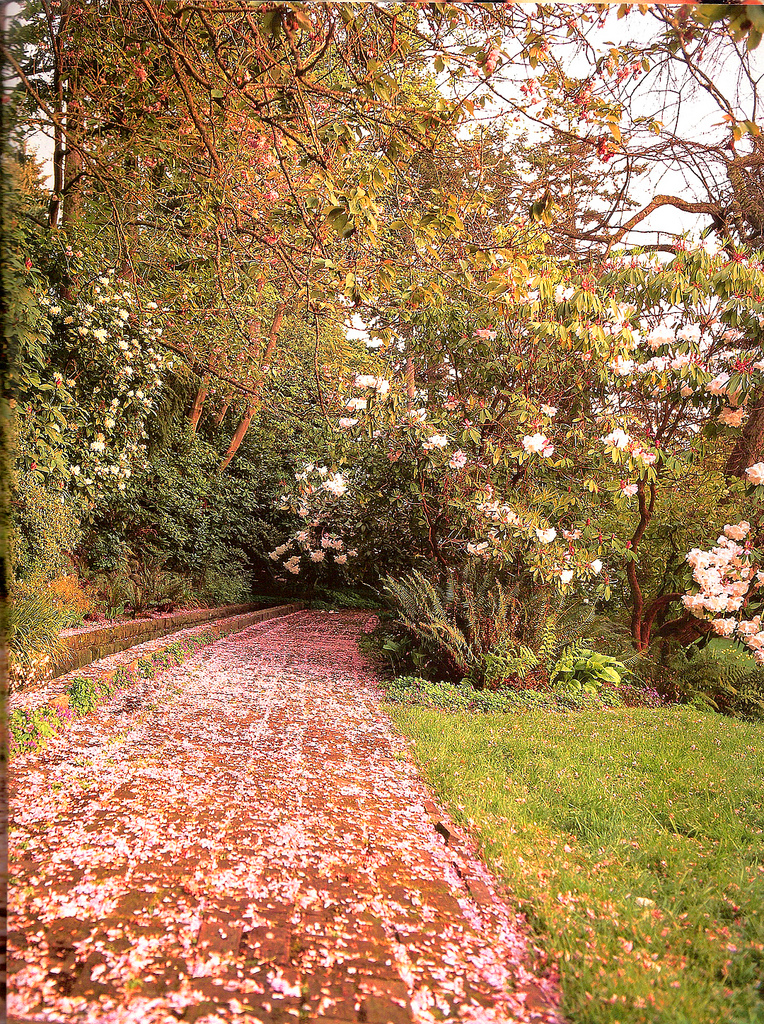 Dunn Gardens topsyturvystyle