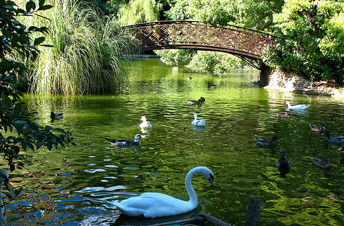 Lake, Villa Durazzo Pallavicini