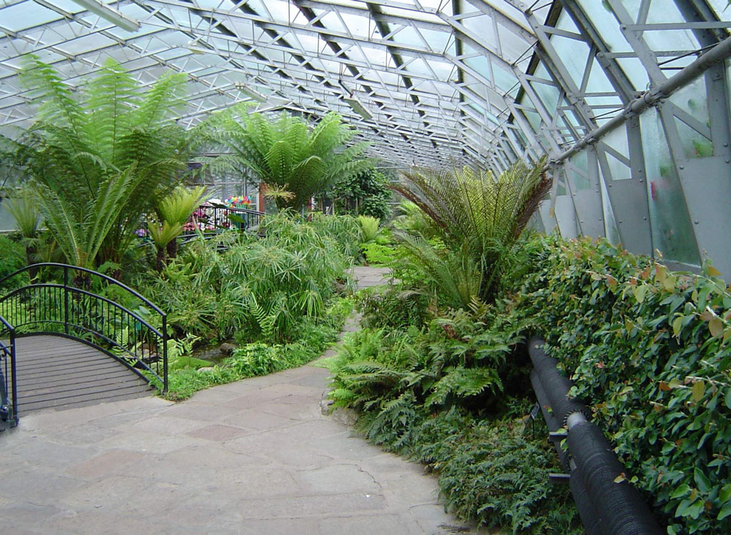 Winter Garden, Duthie Park