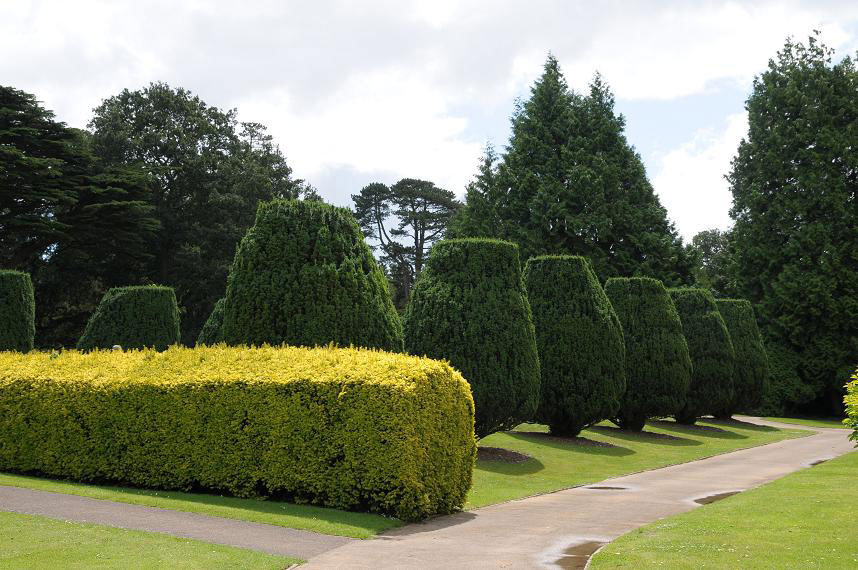 Dyffryn Botanic Garden, 2009
