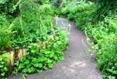 Rammed earth path
