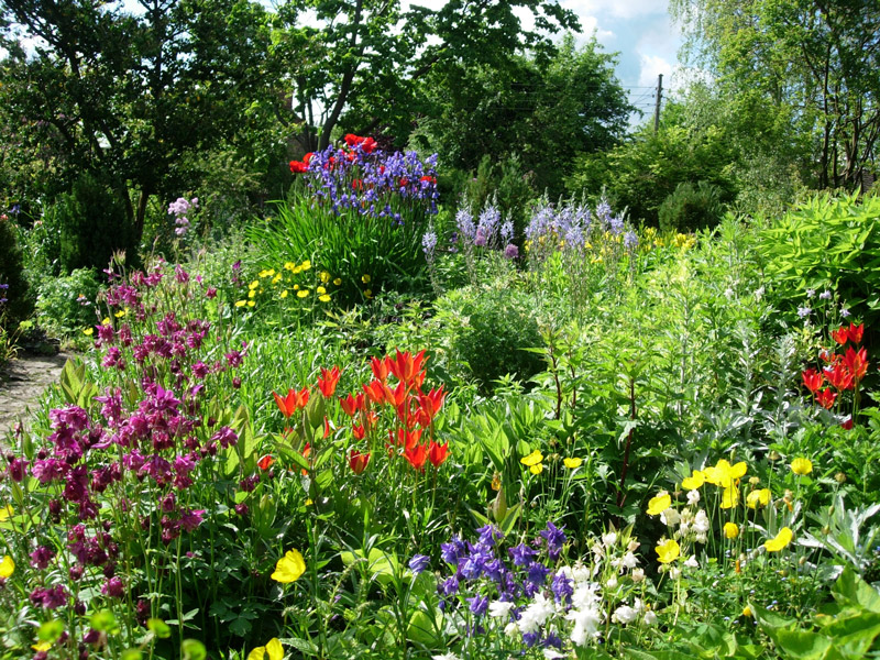 East Lambrook Manor Garden, Somerset